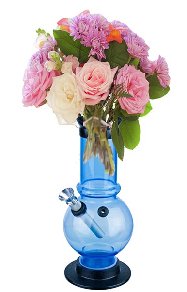 amanda-bynes-bong-flower-vase